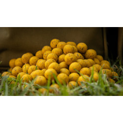 Monster carp boilies Pine 16mm